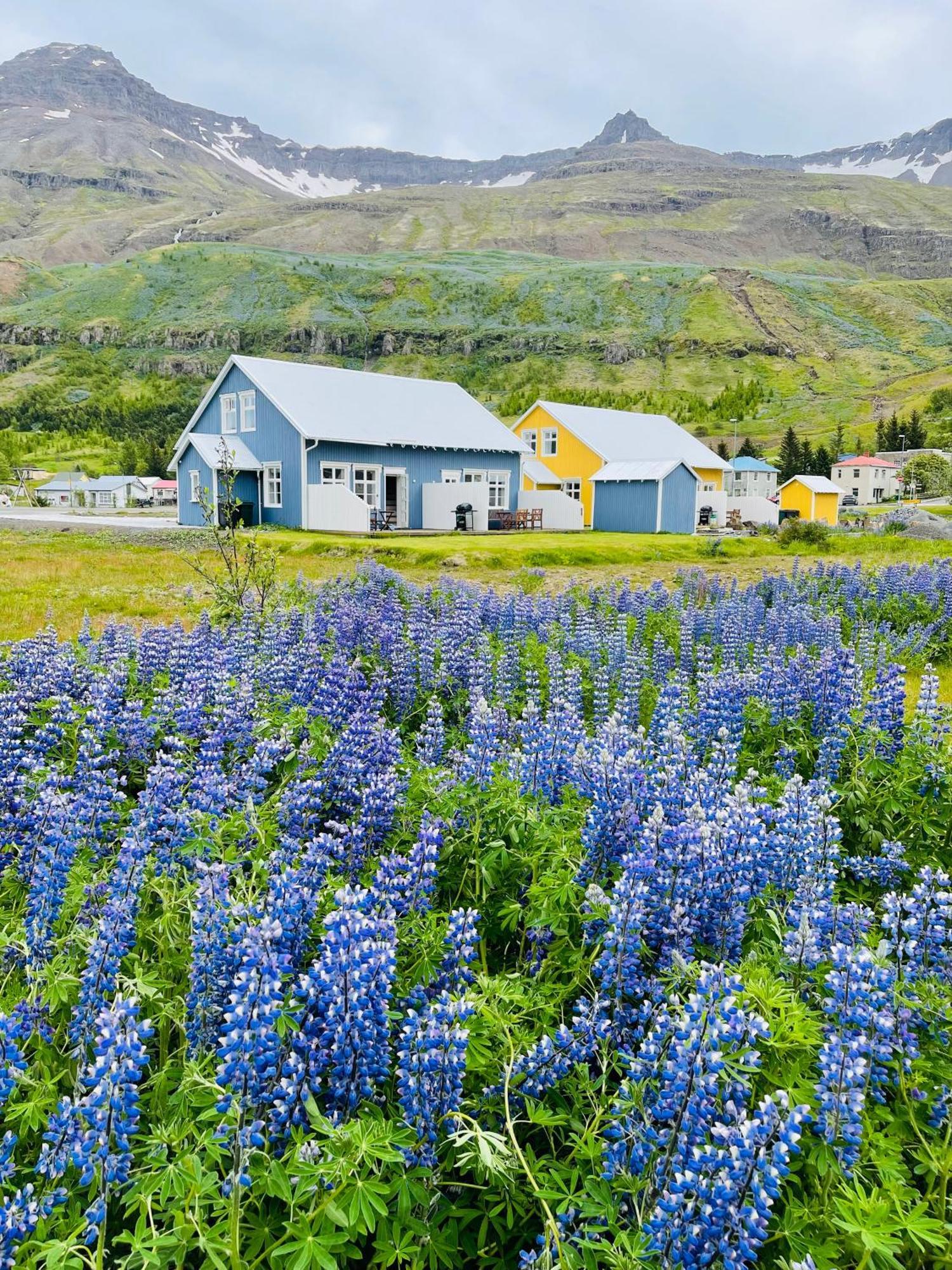 Lonsleira Apartments Seyðisfjörður Exterior foto