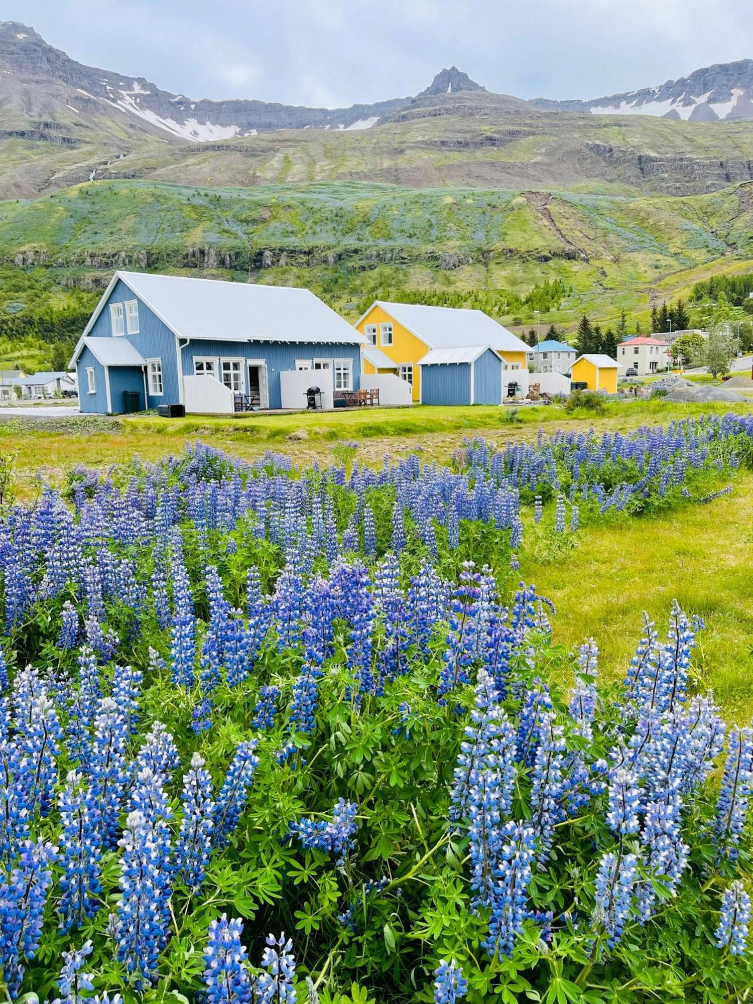 Lonsleira Apartments Seyðisfjörður Exterior foto